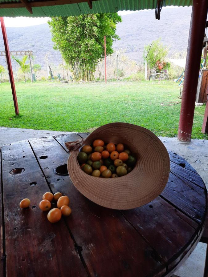 La Cabana De Blanca Jalpan Exteriér fotografie